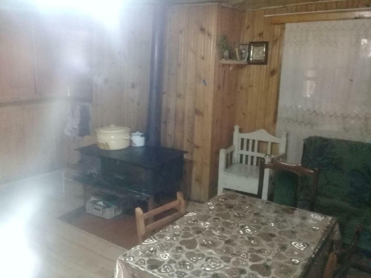 Koba Qaldanis Guest House Adishi Екстер'єр фото