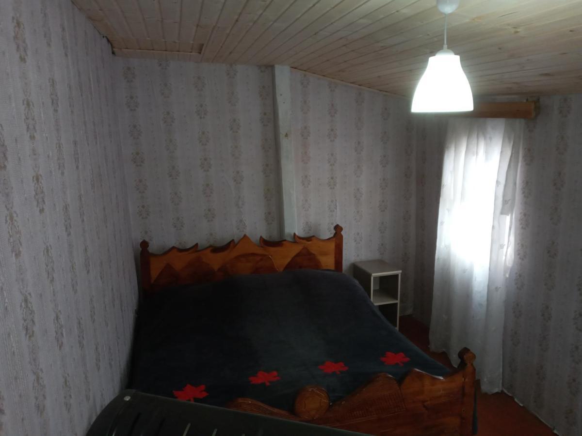 Koba Qaldanis Guest House Adishi Екстер'єр фото